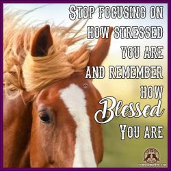 Stop focusing on how stressed you are and …