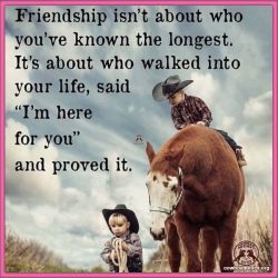 Friendship isn't about who you're known the longest. It's about who walked into your life, said "I'm here for you" and proved it.