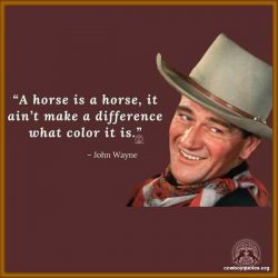 A horse is a horse, it ain't make a difference what color it is.