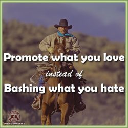 Promote what you love instead of Bashing what you hate