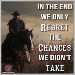 In the End we only Regret the Chances we didn't take