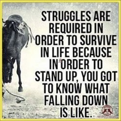 Struggles are required in order to survive in life because in order to stand up, you got to know what falling down is like.