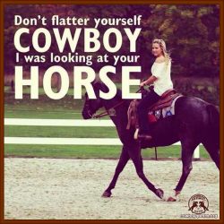 Don't flatter yourself Cowboy, I was looking at your Horse