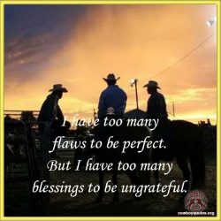 I have too many flaws to be perfect. But I have too many blessings to be ungrateful.