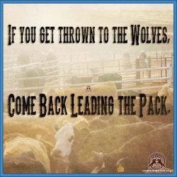 If you get thrown to the wolves, come back leading the pack.