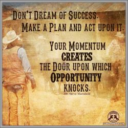 Don't dream of success make a plan and act upon it. Your momentum creates the door upon which opportunity knocks.