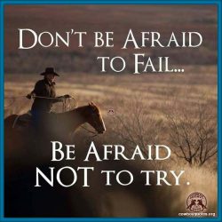 Don't be afraid to fail ... Be afraid not to try