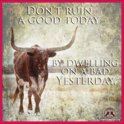 Don't ruin a good today by dwelling on a bad yesterday.