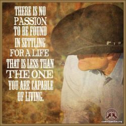 There is no passion to be found in settling for a life that is less than the one you are capable of living.