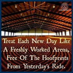 Treat each new day like a freshly worked arena, free of the foofprints from yesterday's ride.