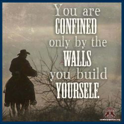 You are confined only by the walls you build yourself.