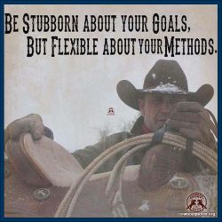 Be stubborn about your goals, but flexible about your methods.