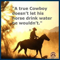 A true cowboy doesn't let his horse drink water he wouldn't.