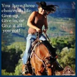 You have three choices in life: Give up, Give in, or Give in all you got.