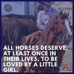 All horses deserve, at least once in their lives, to be loved by a little girl.