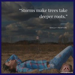 Storms make trees take deeper roots.