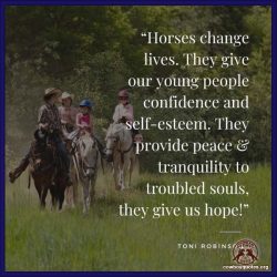 Horses change lives. They give our young people confidence and self-esteem. They provide peace & tranquility to troubled souls, they give us hope!