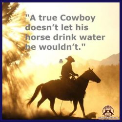 A true Cowboy Doesn’t Let His Horse Drink Water He Wouldn’t.