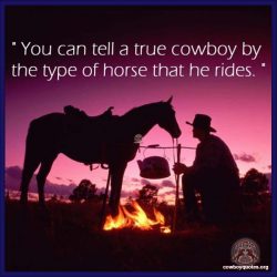 You Can Tell A True Cowboy By The Type Of Horse That He Rides.