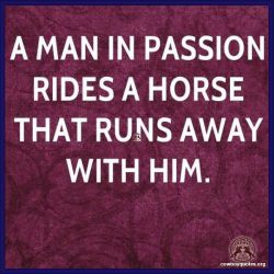 A Man In Passion Rides A Horse That Runs Away With Him.