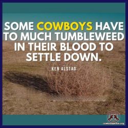 Some cowboys have to much tumbleweed in their blood to settle down.