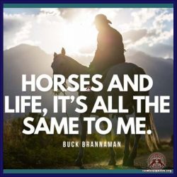 Horses and life, it’s all the same to me.