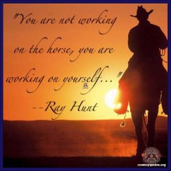 You are not working on the horse, you are working on yourself.