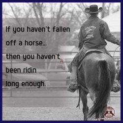 If you haven't fallen off a horse ... then you haven't been ridin long enough.