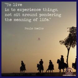 To live is to experience things, not sit around pondering the meaning of life.