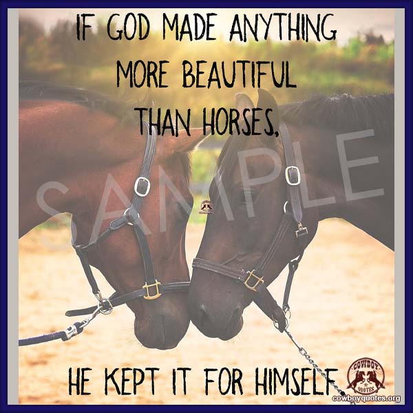 If god made anything more beautiful than horses, he kept it for himself.