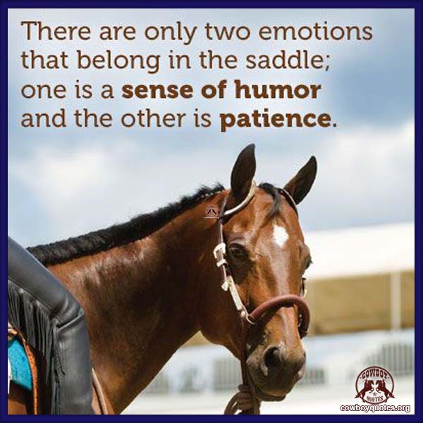 There are only two emotions that belong in the saddle; one is a sense of humor and the other is patience.
