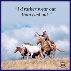 I'd rather wear out than rust out.