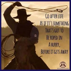 Go after life as if it's something that's got to be roped in a hurry, before it gets away.