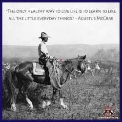 The only healthy way to live life is to learn to like all the little everyday things