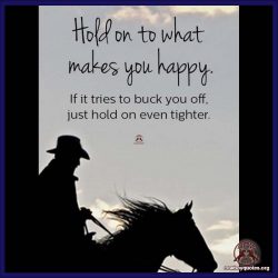 Hold on to what makes you happy. If it tries to buck you off, just hold on even tighter.