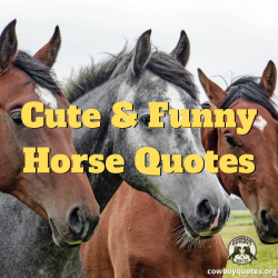 Cute & Funny Horse Quotes