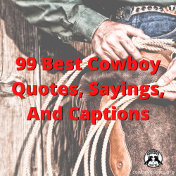 99 Best Cowboy Quotes, Sayings, And Captions