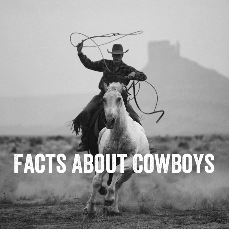 100-funny-cowboy-sayings-cowboy-quotes