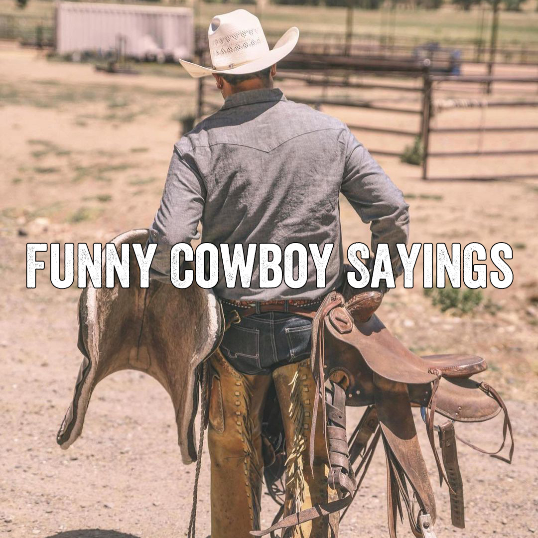 100+ Funny Cowboy Sayings - Cowboy Quotes